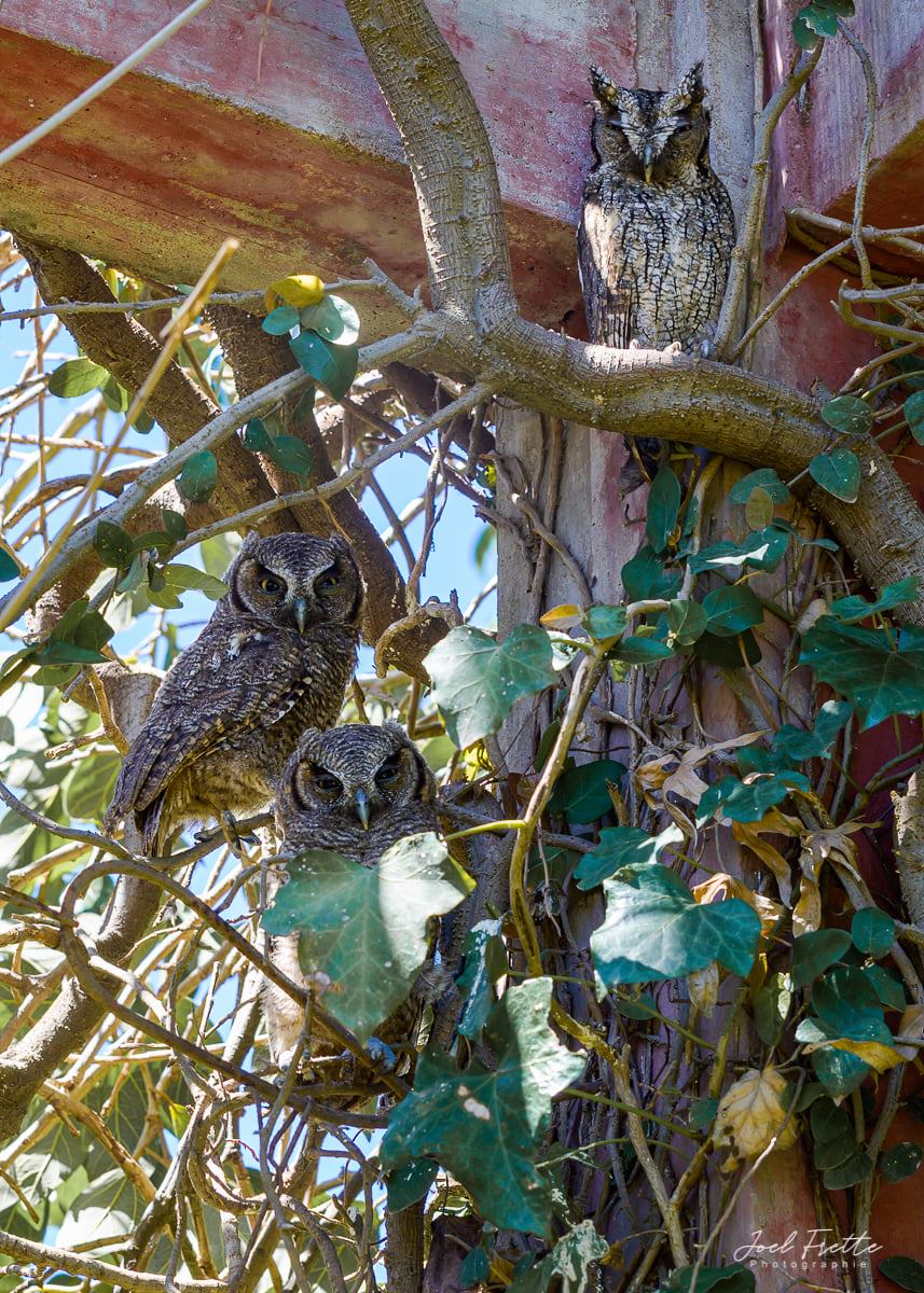 135574892_4082093498480654_223825616975175193_n ligne éthique