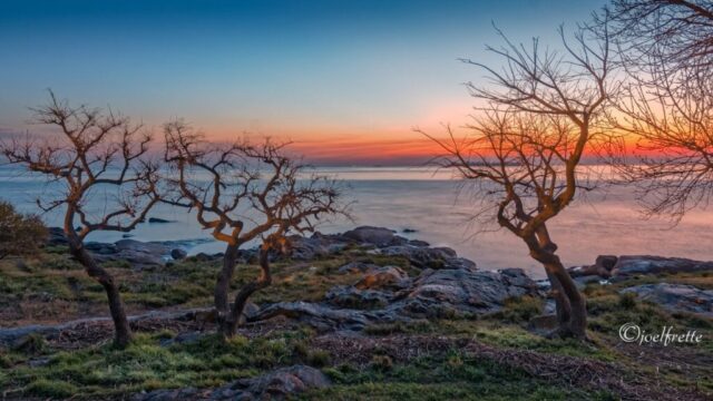 Photographie de nature au crépuscule montrant des arbres torturés sur des rochers face à la mer avec un ciel flamboyant à l'horizon