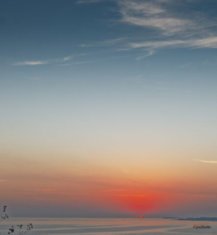 Coucher de soleil rouge intense sur la mer avec ciel dégradé bleu et orange et quelques feuilles en bas à gauche