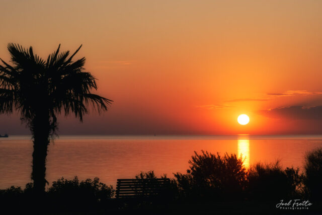 Coucher de soleil orangé sur l'eau avec silhouette de palmier et d'un banc au premier plan