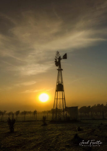 Photographie d'une ancienne éolienne en métal se découpant en silhouette contre un soleil couchant orangé, au-dessus d'un champ couvert de brume avec des rangées d'arbres.