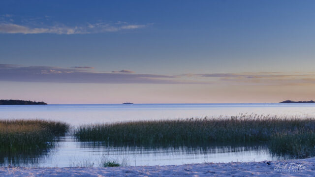 Photographie d'un rivage paisible au bord du Río de la Plata, avec des herbes hautes se reflétant dans l'eau au premier plan, et une ligne d'horizon lointaine sous un ciel doux.