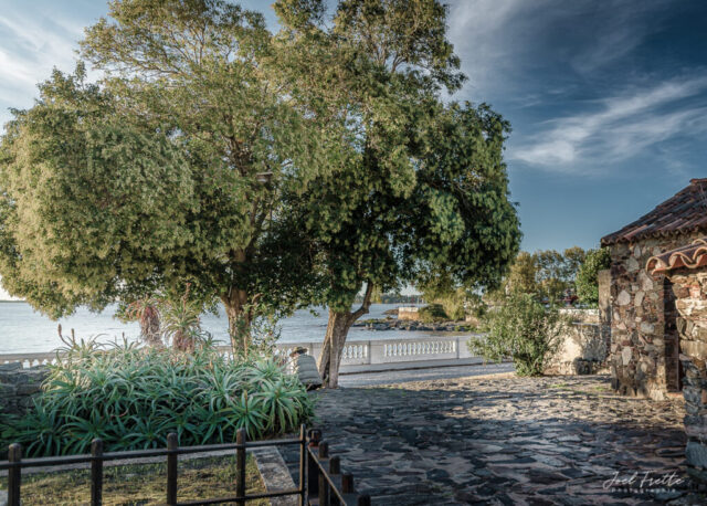 Photographie d'une terrasse pavée en pierre avec de gros aloès et un arbre imposant, donnant sur une balustrade blanche et le Río de la Plata au crépuscule, avec une personne assise en contemplation.