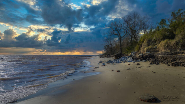 Paysage de bord de mer avec plage de sable, arbres dénudés et rochers sous un ciel dramatique et nuageux au coucher du soleil