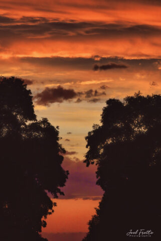 La nuit descend, lente souveraine...